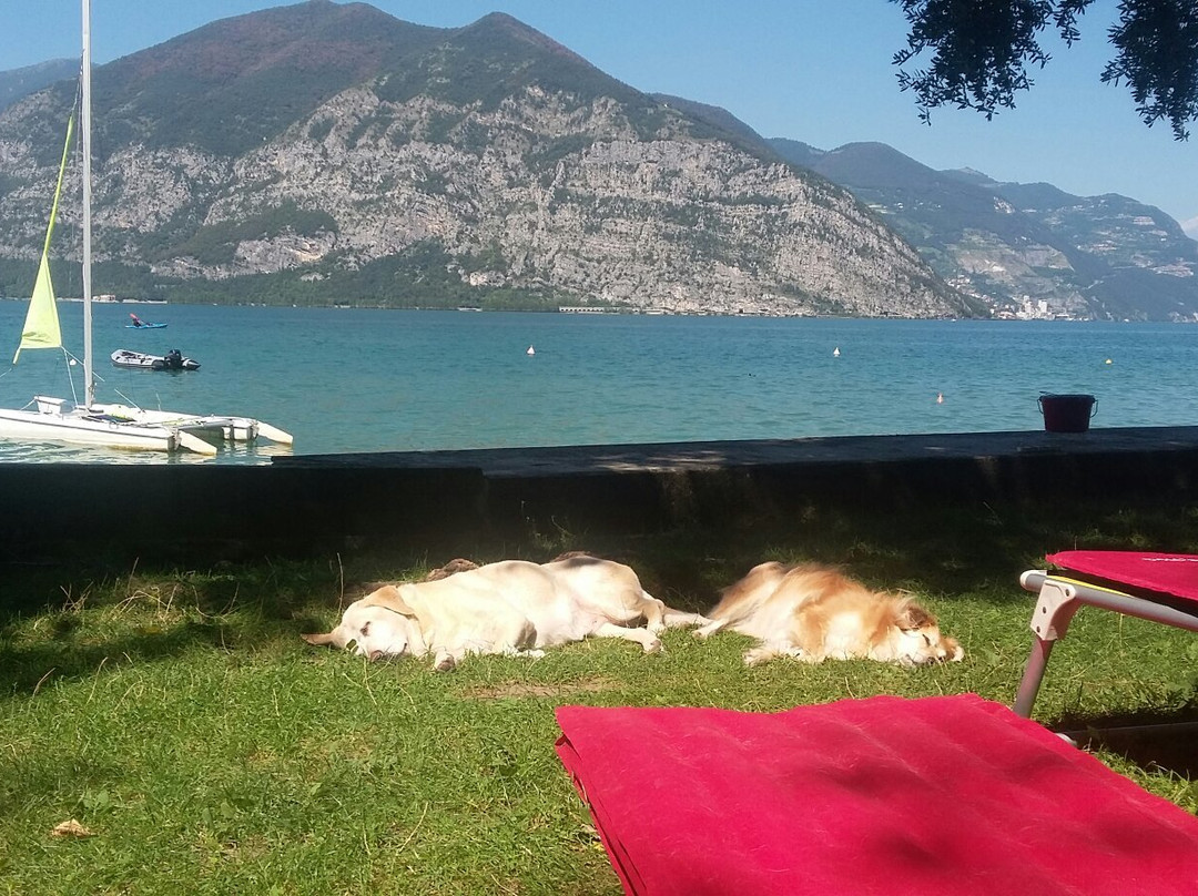 Camping Covelo