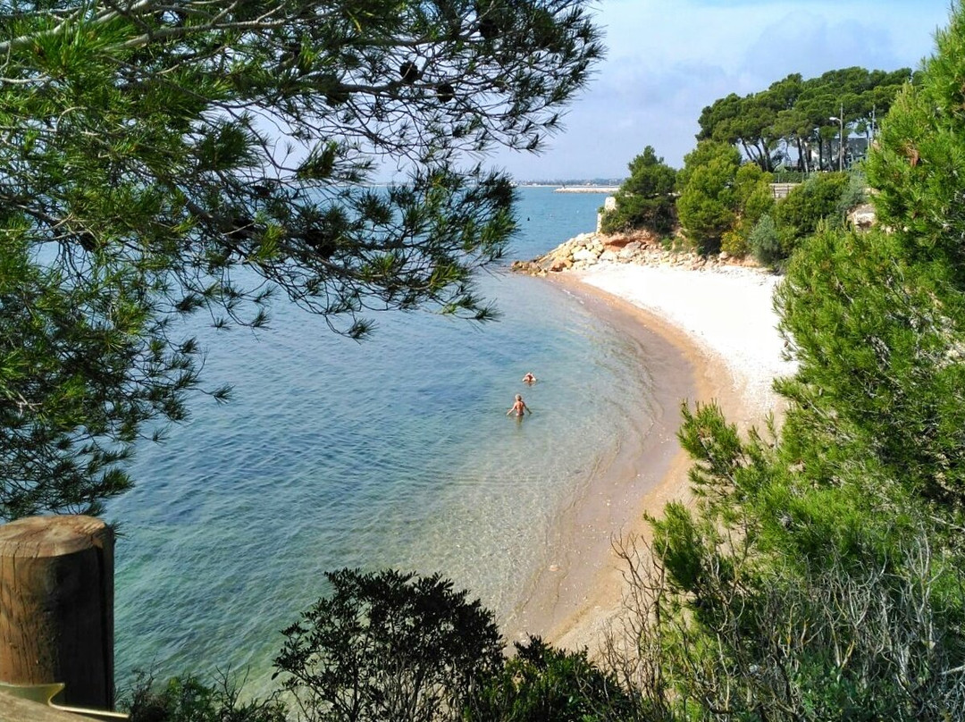 Platja dels Capellans-L'Ampolla必去景点