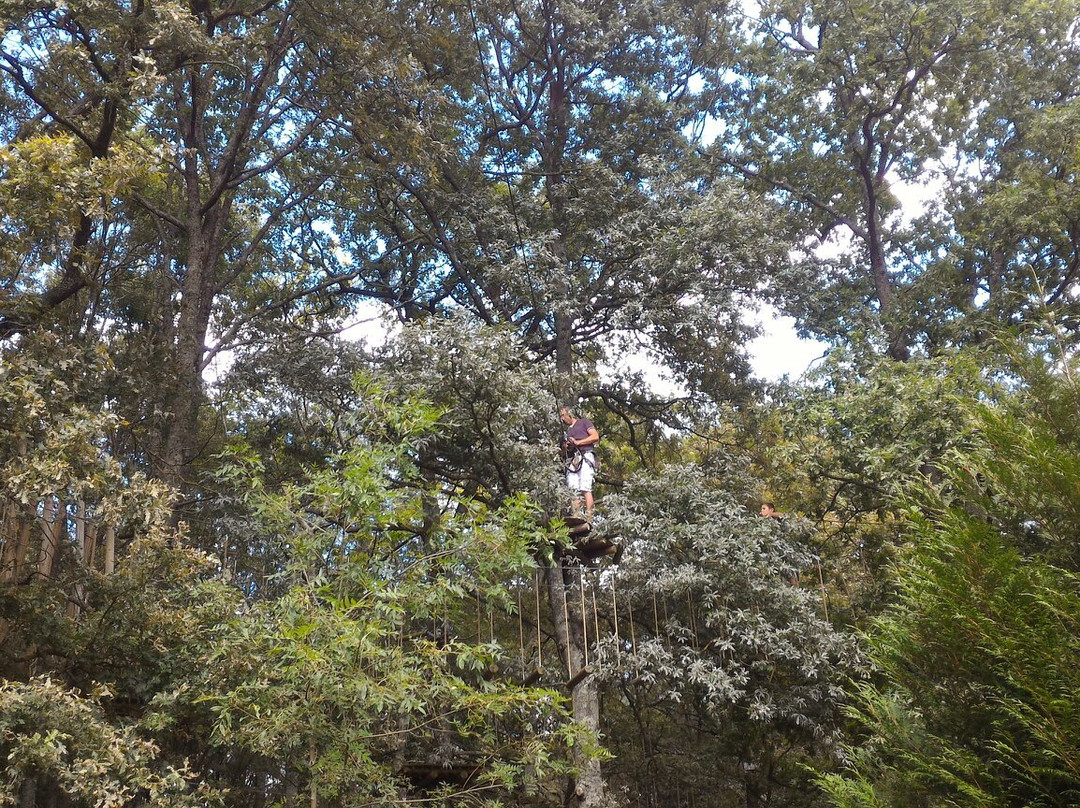 Climb Up-Saran必去景点