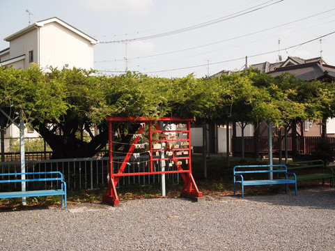 Shobu Shrine-久喜市必去景点