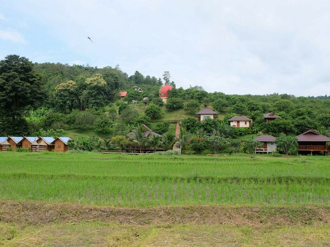 BMP FARM HOUSE-夜登必去景点