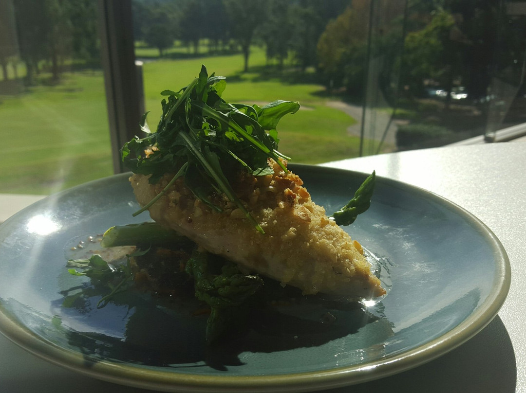 Gosford Golf Club-戈斯福德必去景点