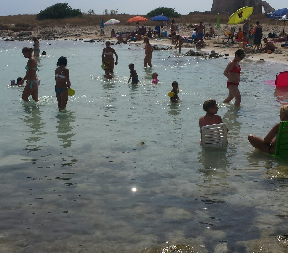 B&B Salento Elite