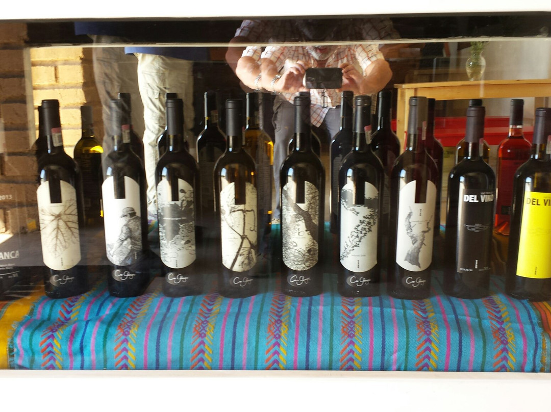 Vinicola Torres Alegre y Familia景点图片