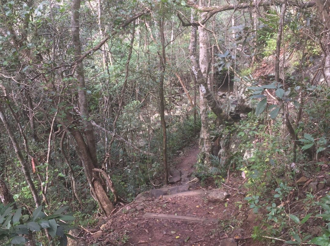 Airlie Creek Track-艾尔利滩必去景点