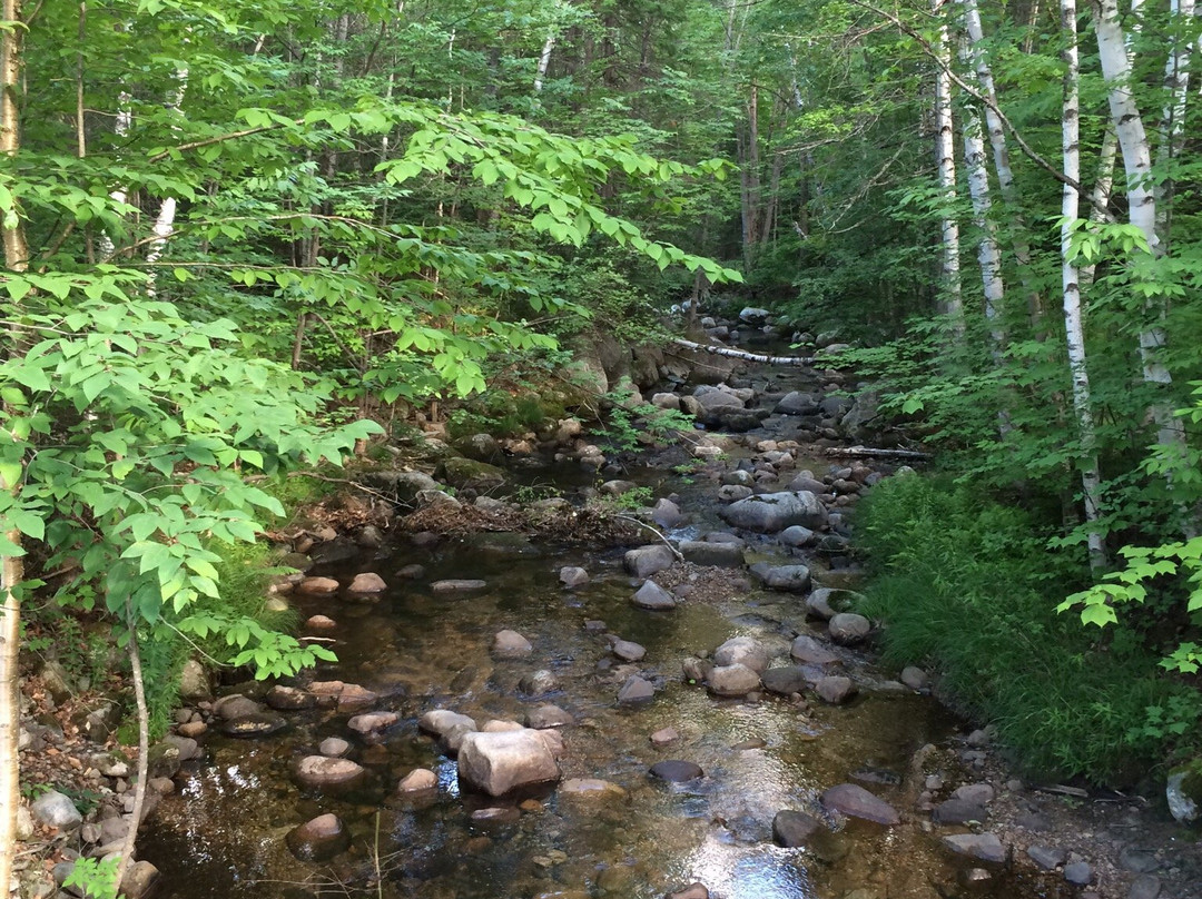 Moose Brook State Park-Gorham必去景点