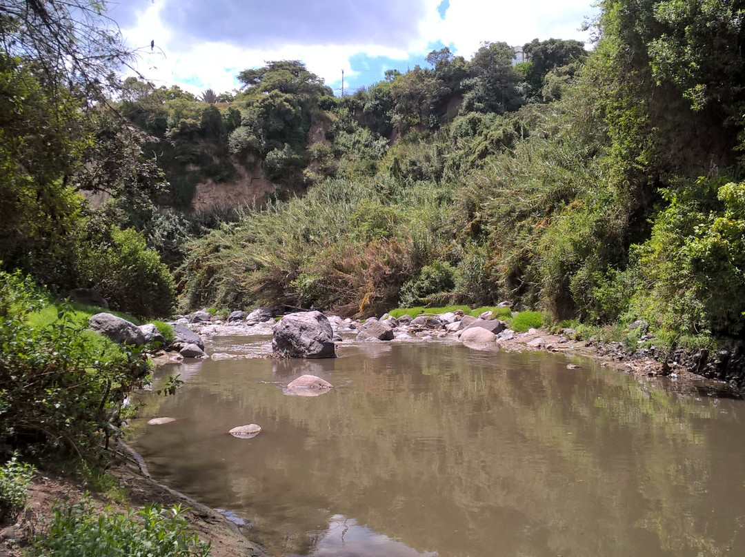 Los Algarrobos Parque Ecologico景点图片