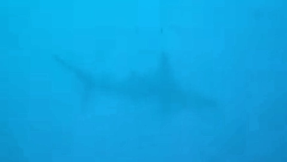 Lat 20, LLC-普阿克必去景点