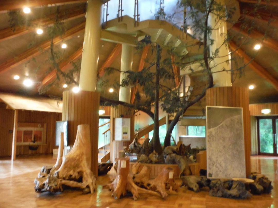 Sugisawa no Sawasugi-入善町必去景点