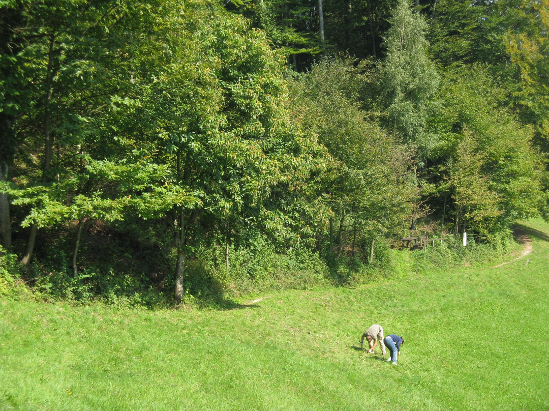 Edelkastanienwald und Waldlehrpfad-阿特湖畔翁特拉赫必去景点