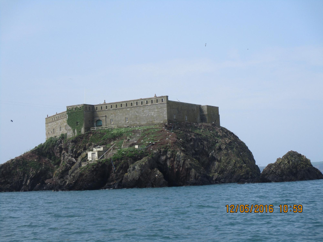 Dive Pembrokeshire景点图片