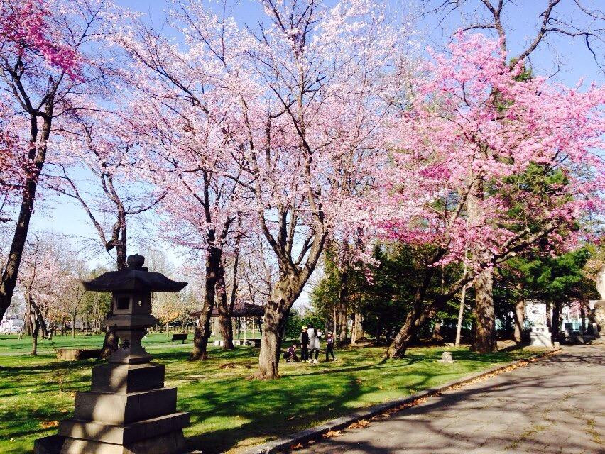 Memuro Park-芽室町必去景点