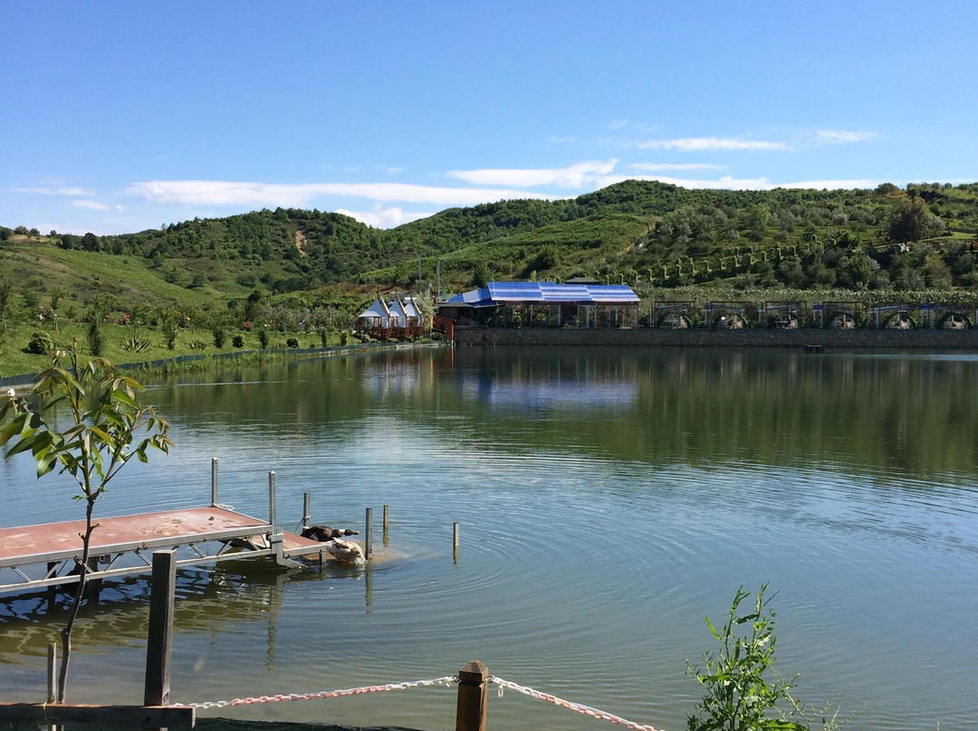 Rade旅游攻略图片