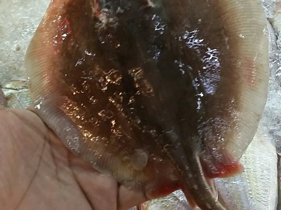 Talad Thai-空銮必去景点