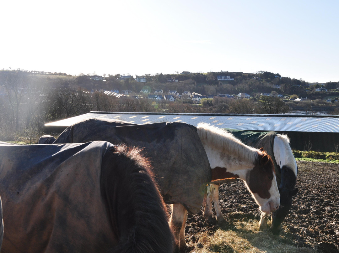 Kinsale Equestrian Centre景点图片