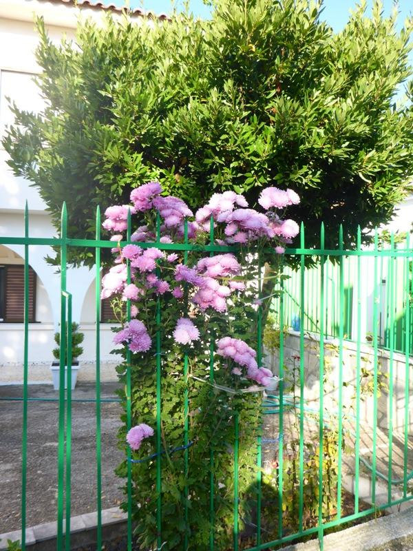 Monastery of St. Paraskevas景点图片