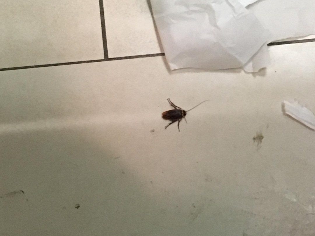 AMC Loews Fresh Meadows-Fresh Meadows必去景点