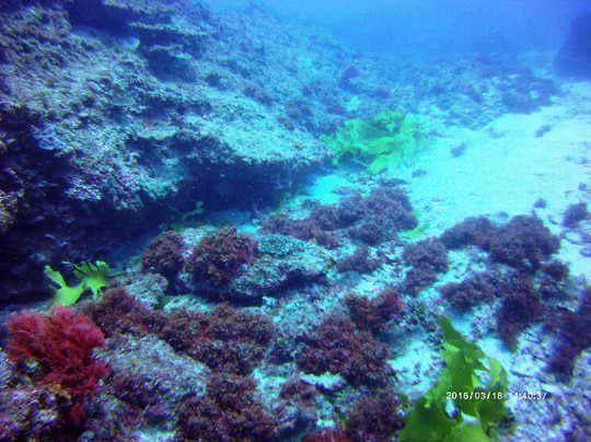 Island Dive-布赖比岛必去景点