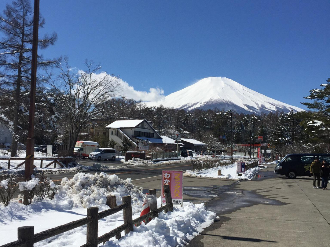 Lake Yamanaka Photo Gallery景点图片