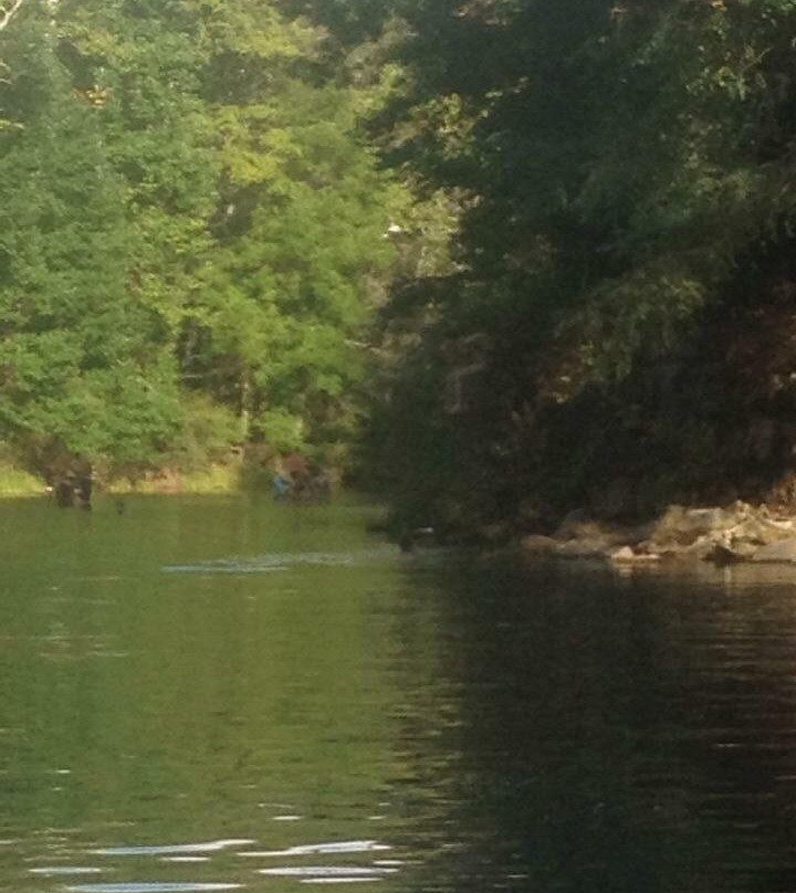 Blue Bend Recreation Area-White Sulphur Springs必去景点