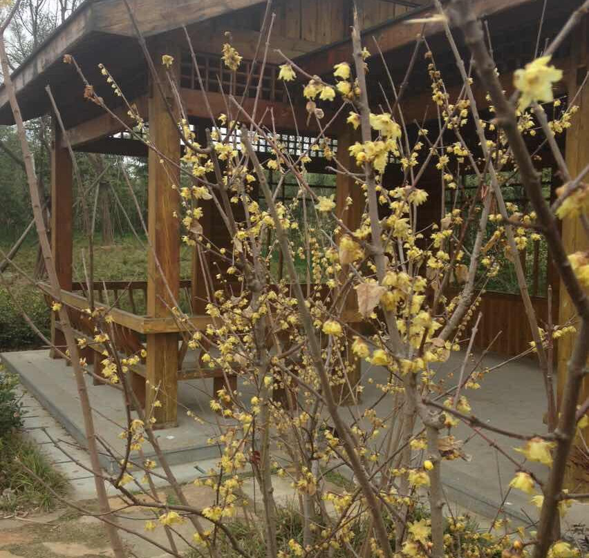 遗爱湖公园-黄冈市必去景点