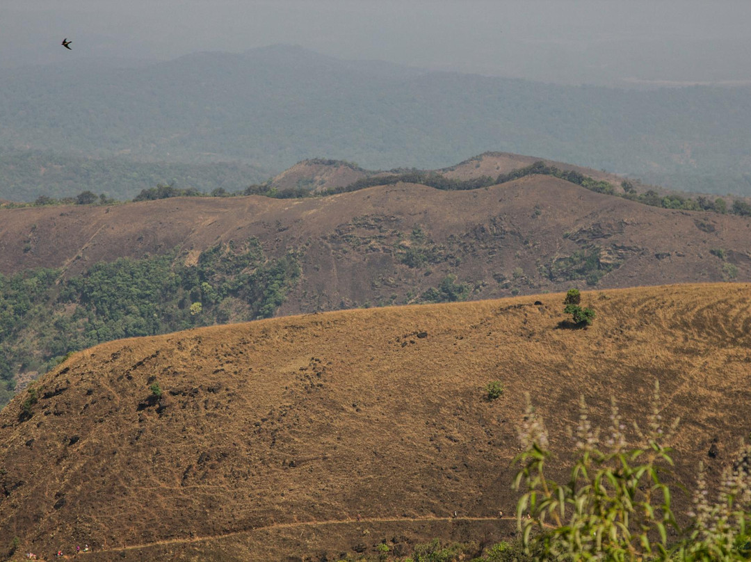 Mookambika Wildlife Sanctuary景点图片