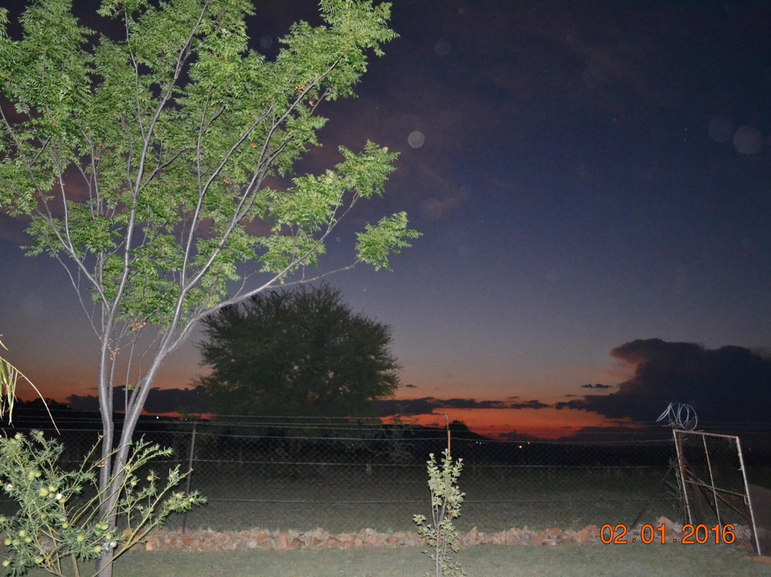 Apricot Hill Farm主图