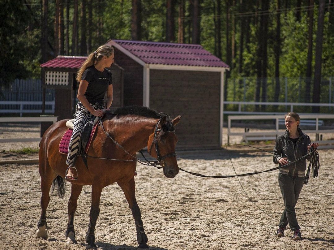 Horse Sport Club Komarovo景点图片