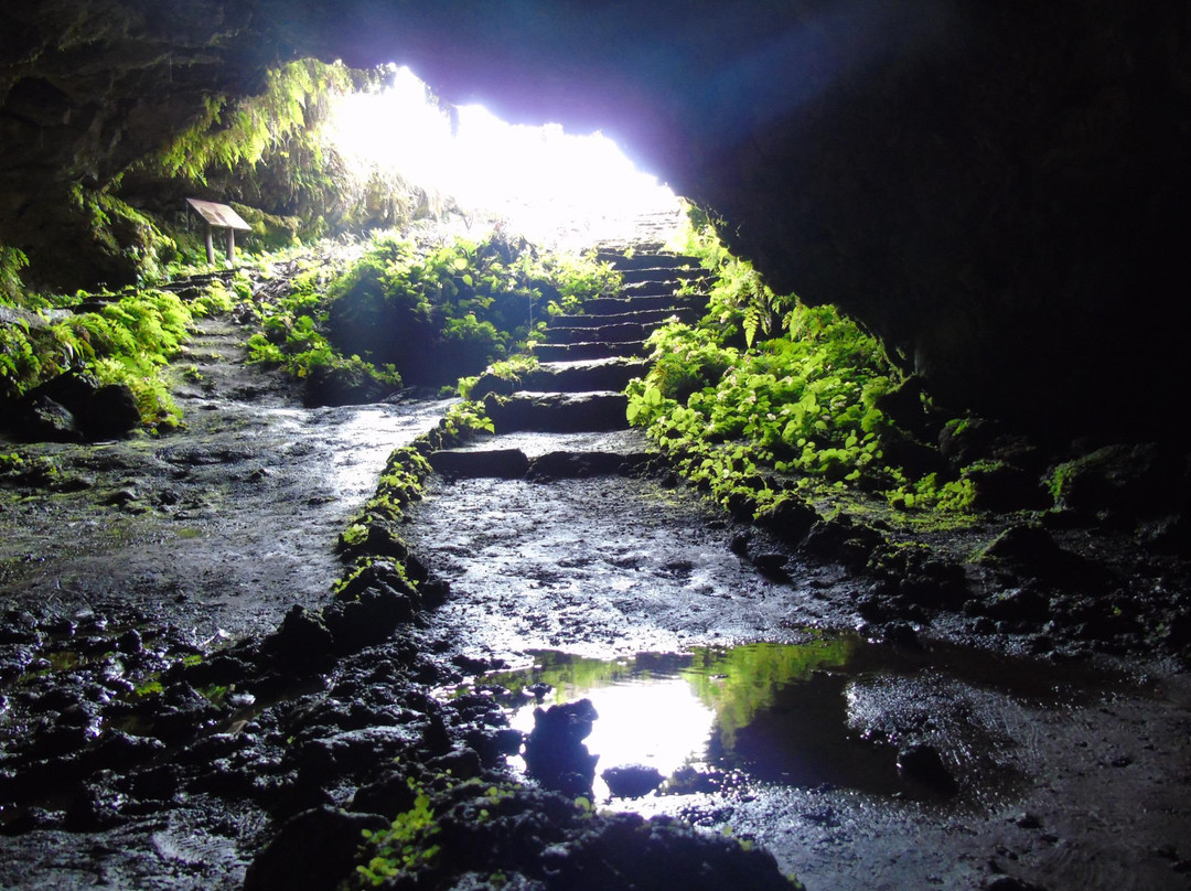 Cueva de Sucre景点图片