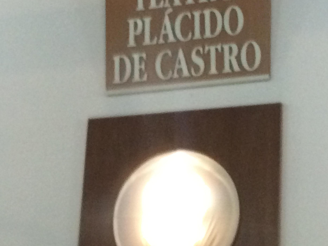 Placido de Castro Theater-Rio Branco必去景点
