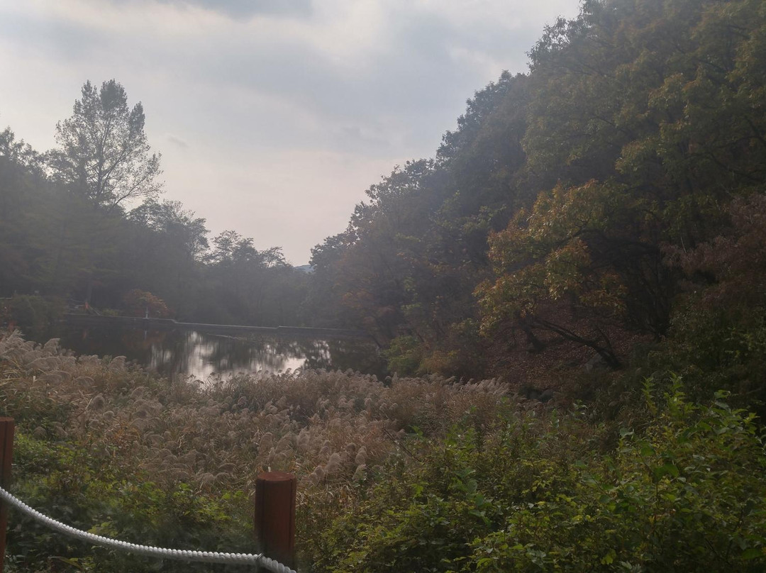 Gwanggyosan Mountain-水原市必去景点