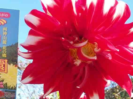 Ogano Town Tourism&Interaction Hall-小鹿野町必去景点