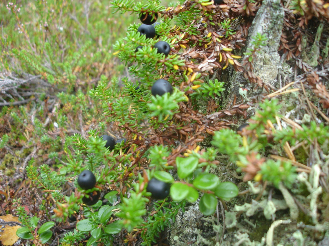 Holy Spring Waterfall-Pinega必去景点