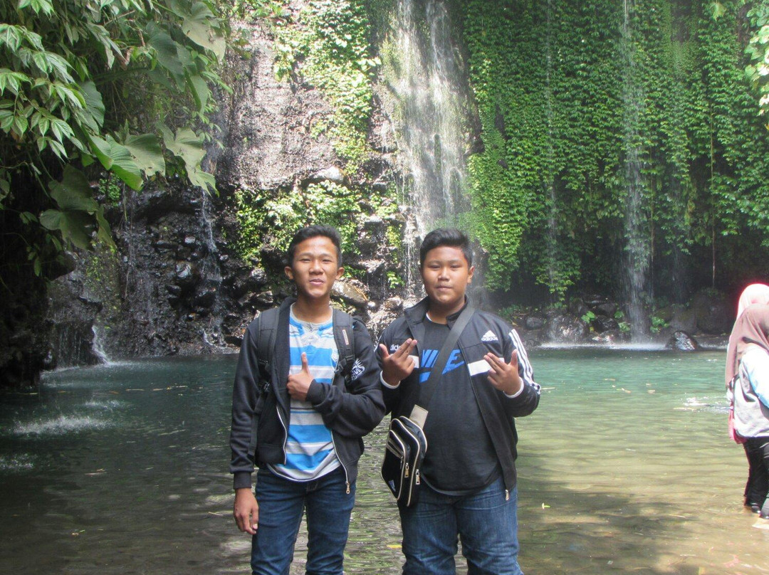 Cibedil Waterfall景点图片