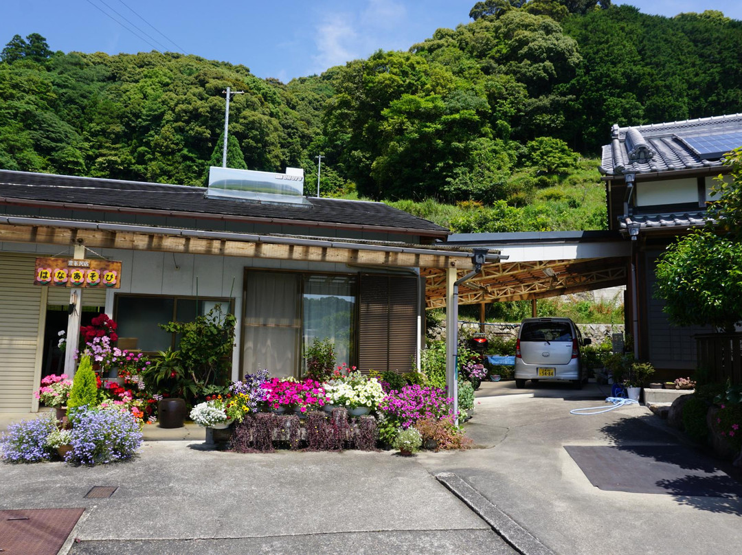Hanaasobi
