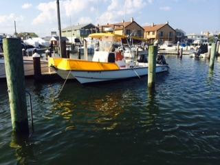 Babu Sport Fishing Charters, Inc.景点图片