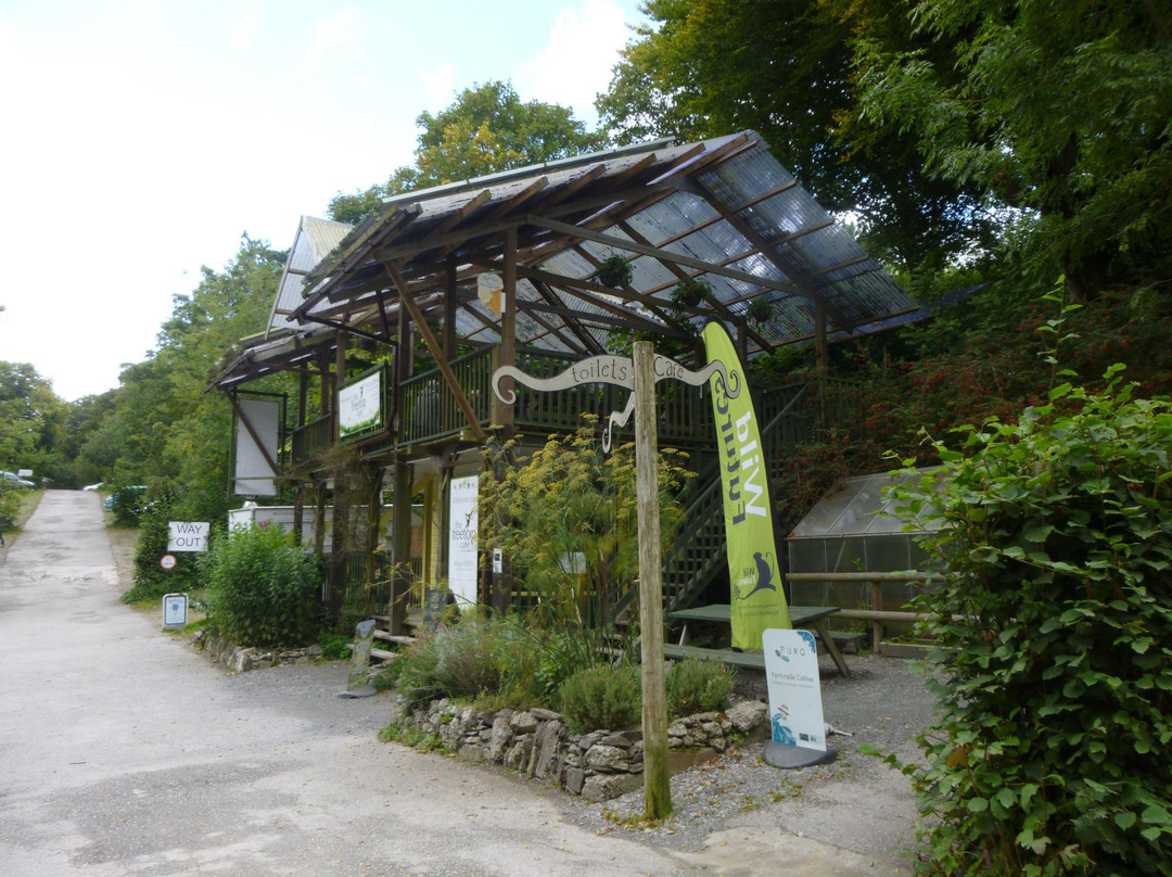 卢城旅游景点-The Monkey Sanctuary