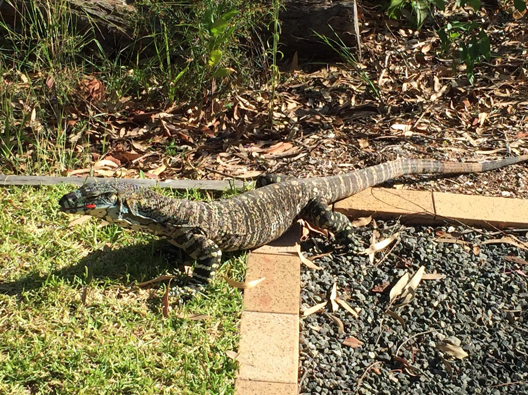 Murrays Beach-Swansea必去景点
