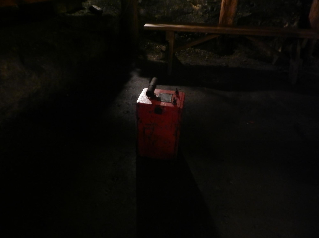Seldom Seen Tourist Coal Mine景点图片