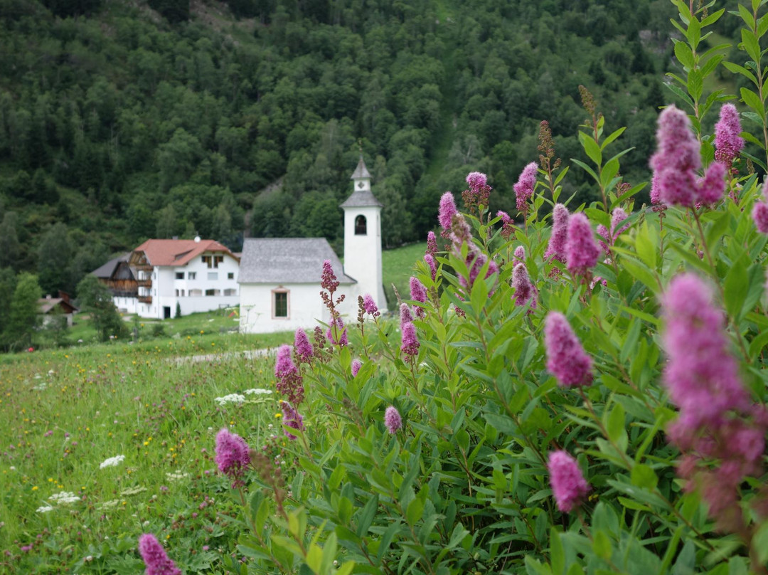 Rasun di Sopra酒店住宿-Huberhof