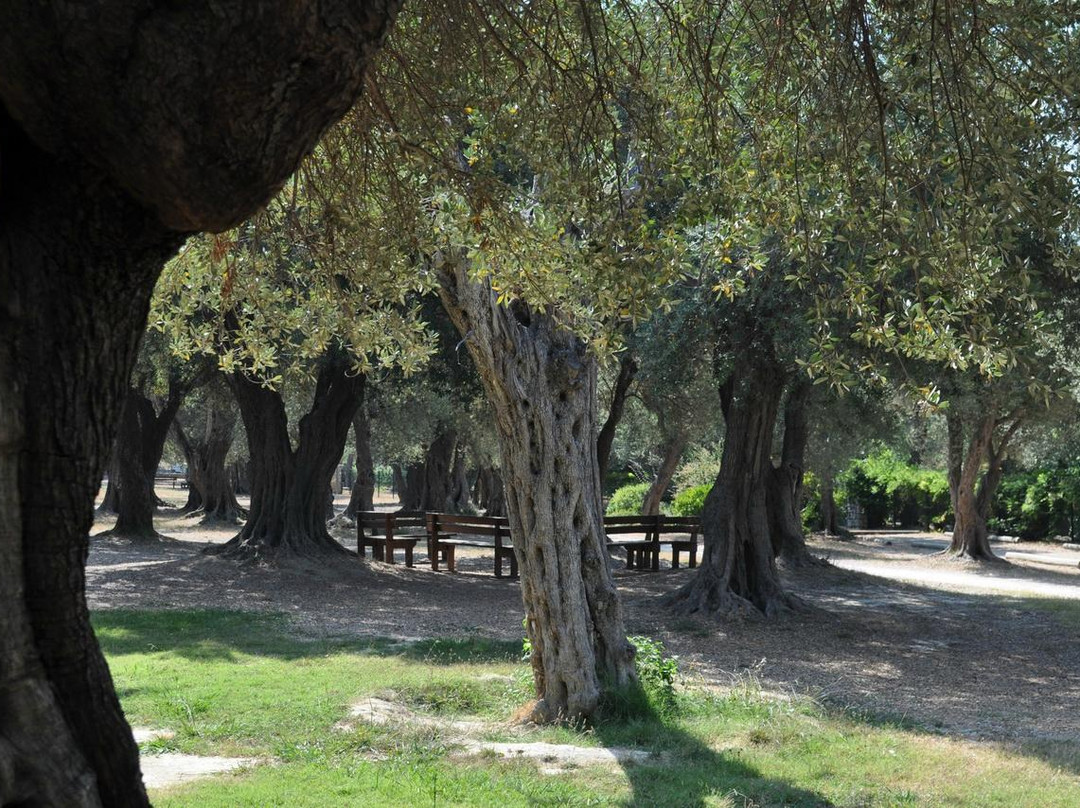 Parc du Cap Martin景点图片