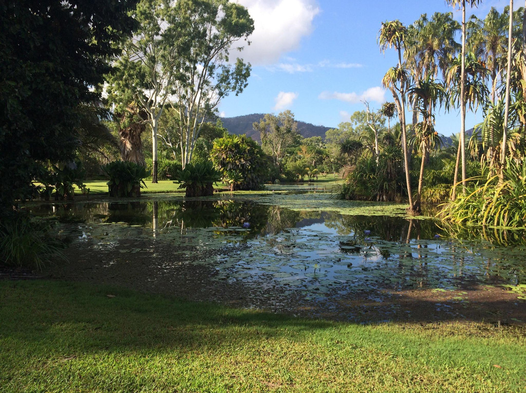 Townsville Palmetum景点图片