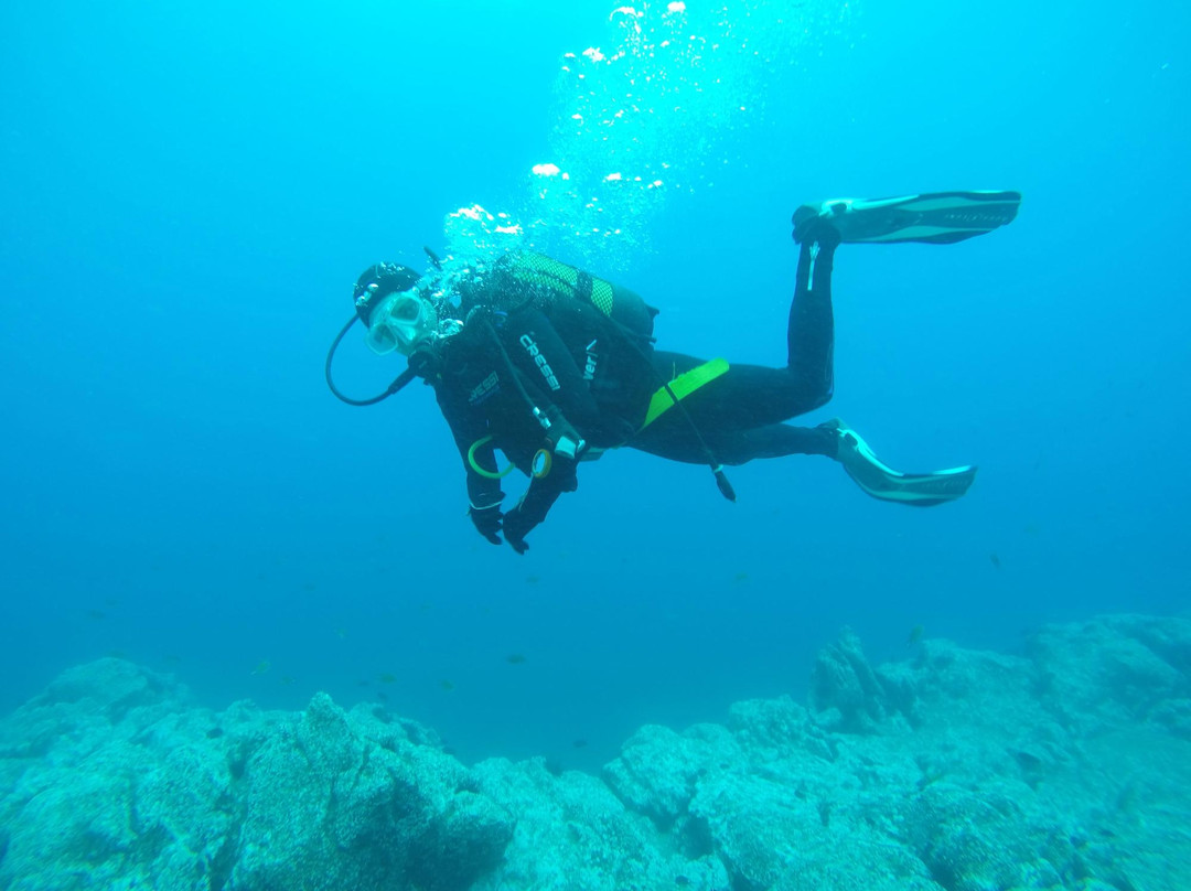 Madeira Diving Center-Canico必去景点