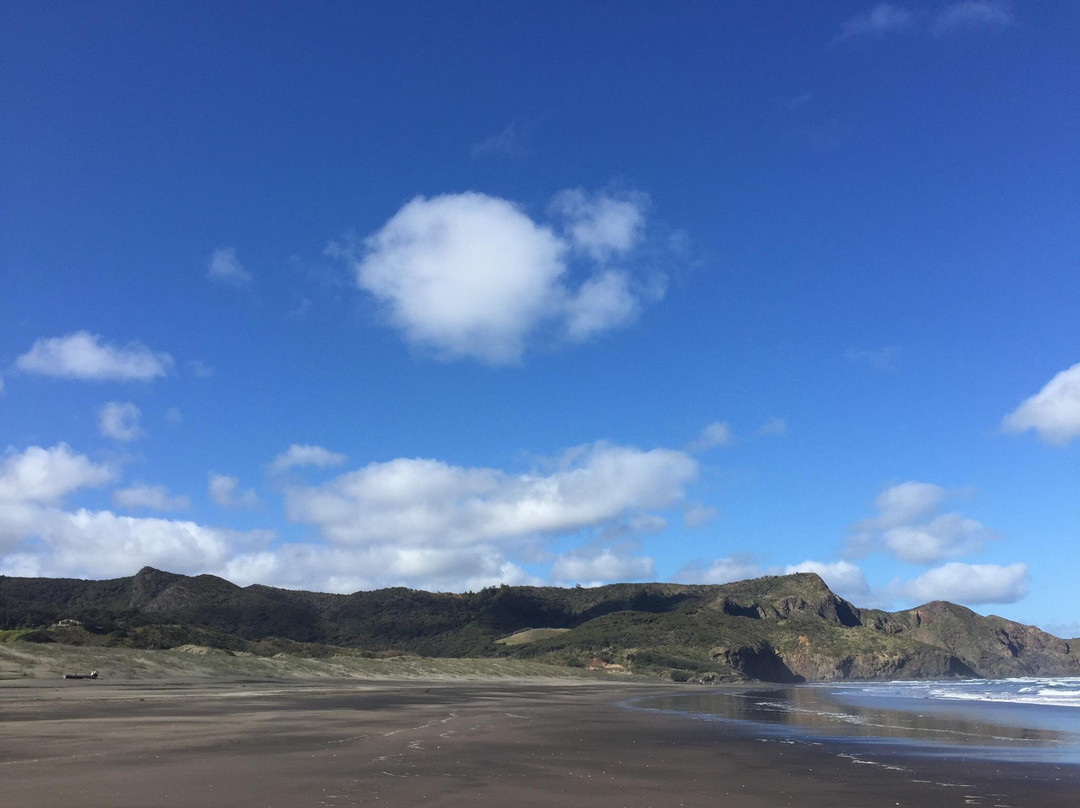 比塞尔斯海滩-奥克兰中心地区必去景点