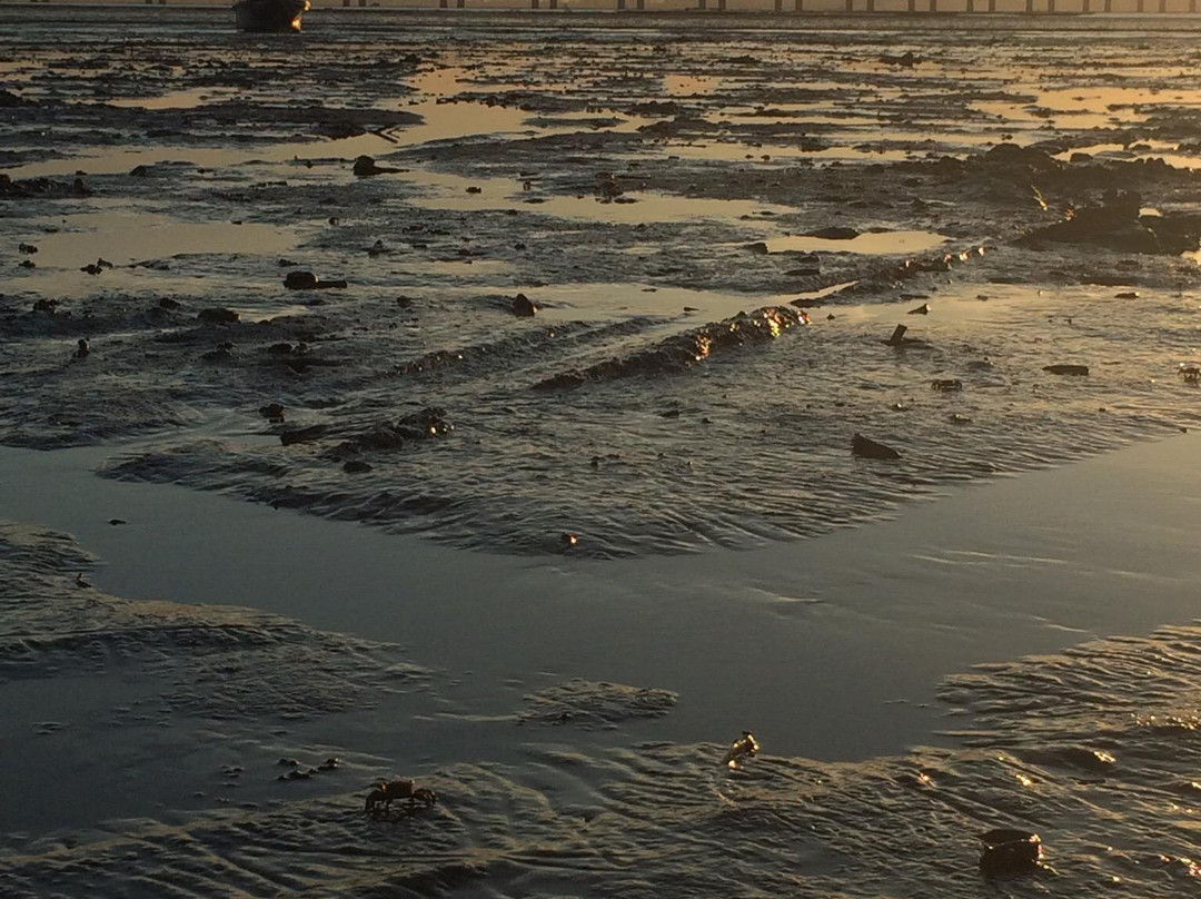 流浮山-香港必去景点