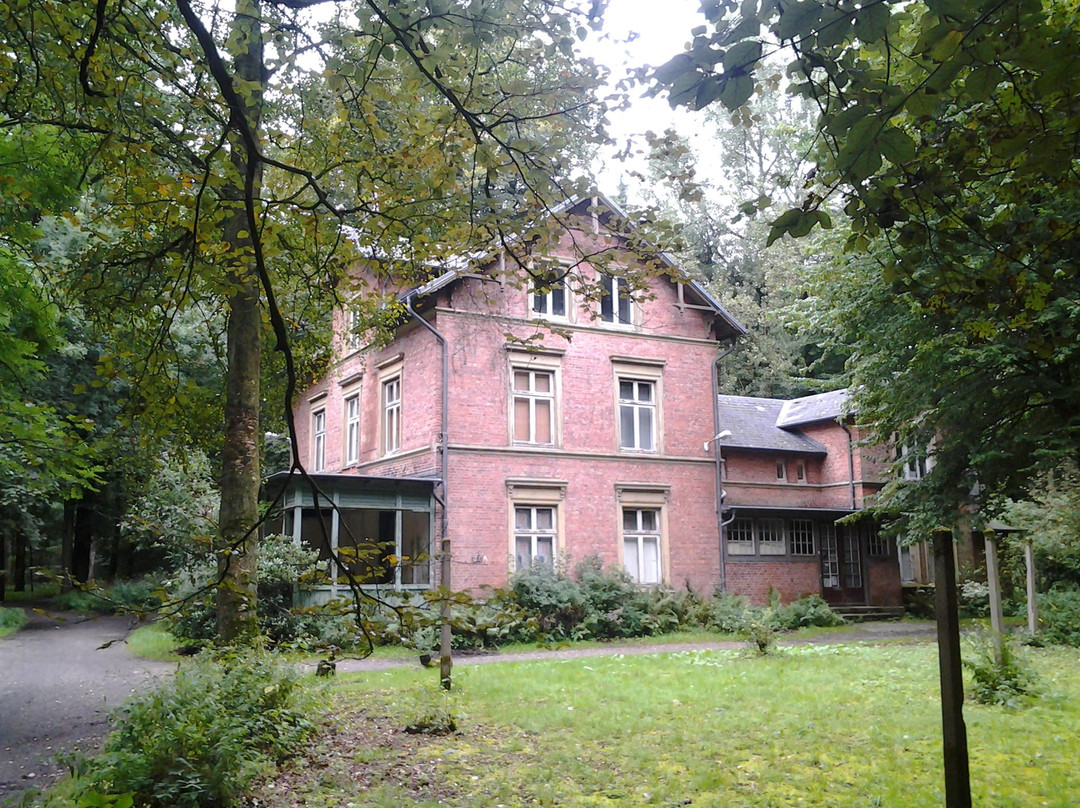 Niendorfer Gehege景点图片