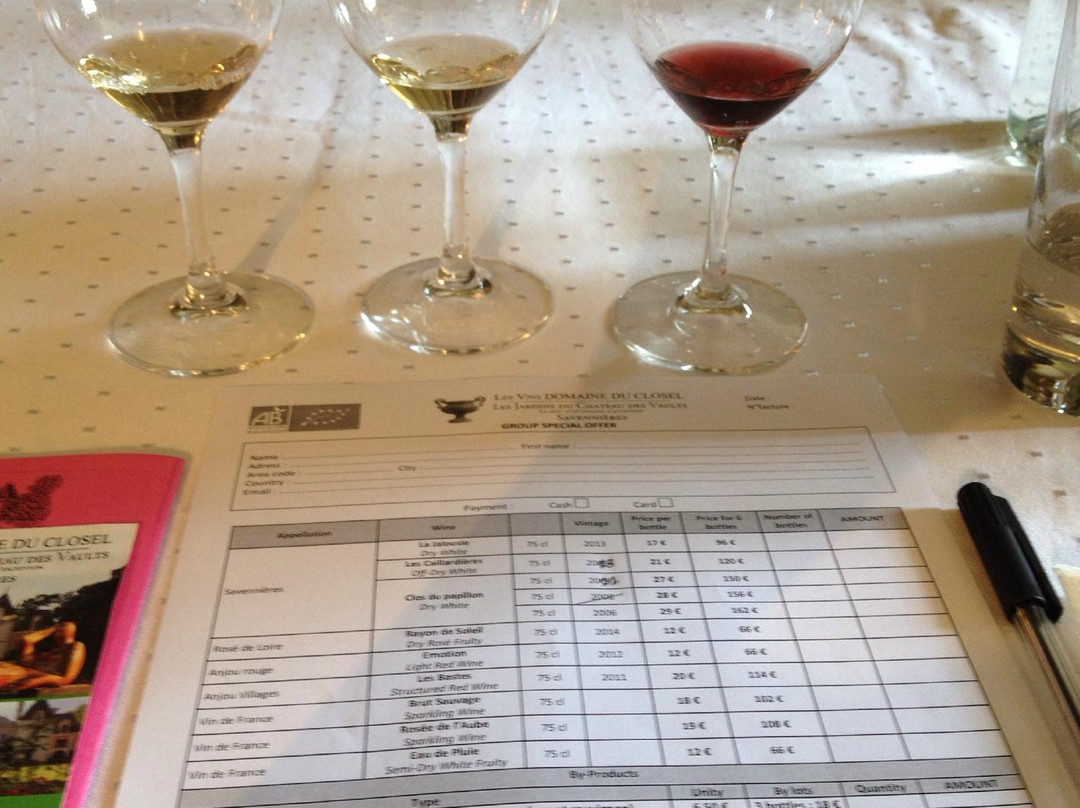 Les Vins Domaine du Closel景点图片