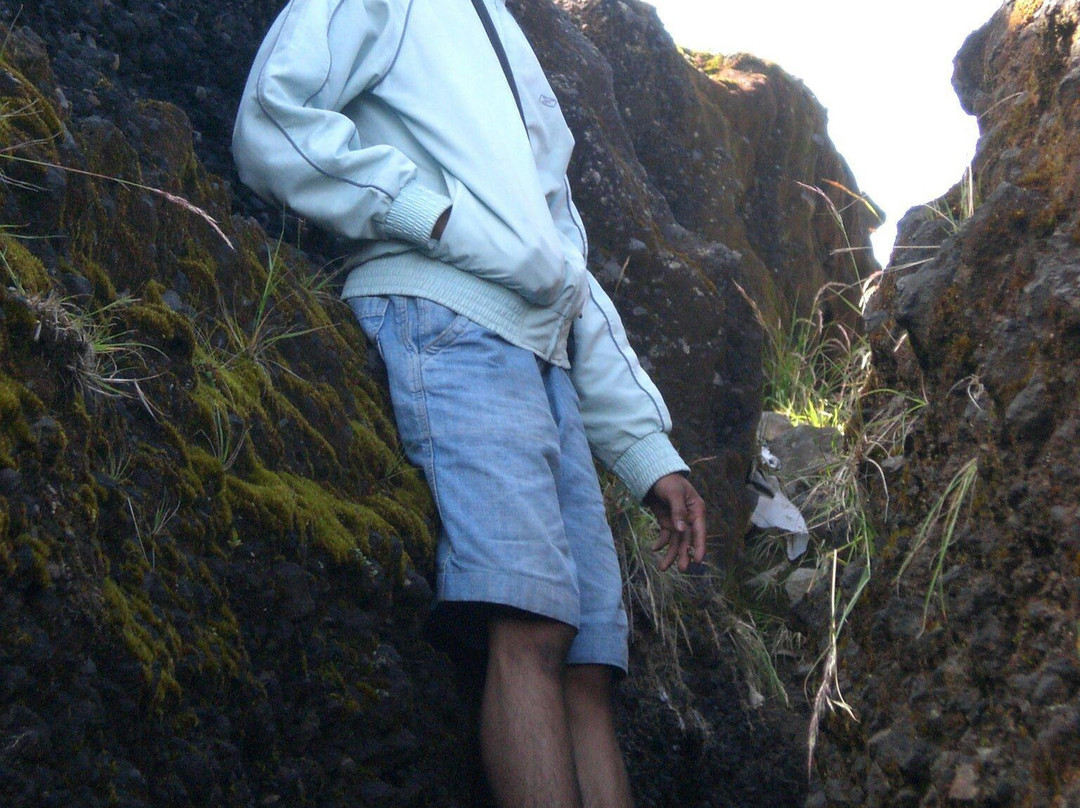 Mount Gede Pangrango National Park-Cipanas必去景点