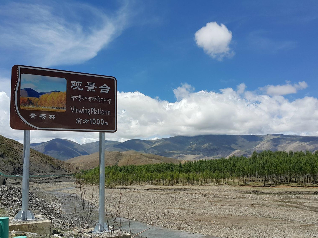 桑堆红草滩-稻城县必去景点