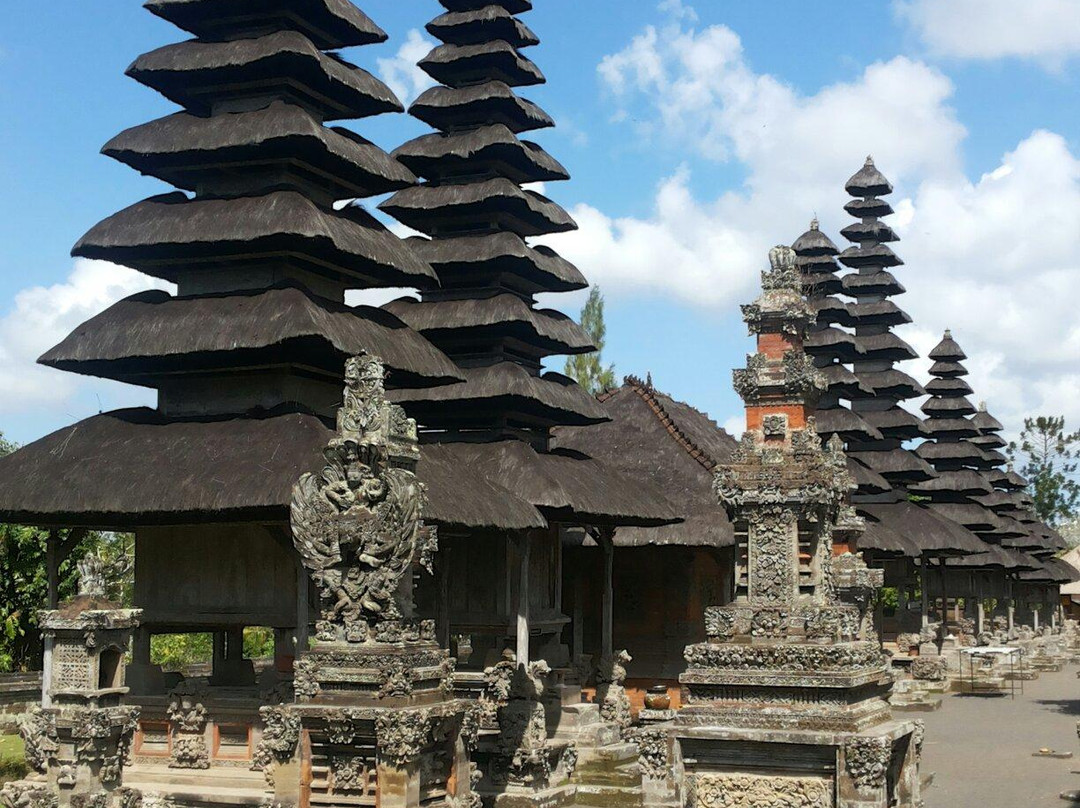 Safe Bali Driver (Ketut Suwenda) - Day Tours-登巴萨必去景点